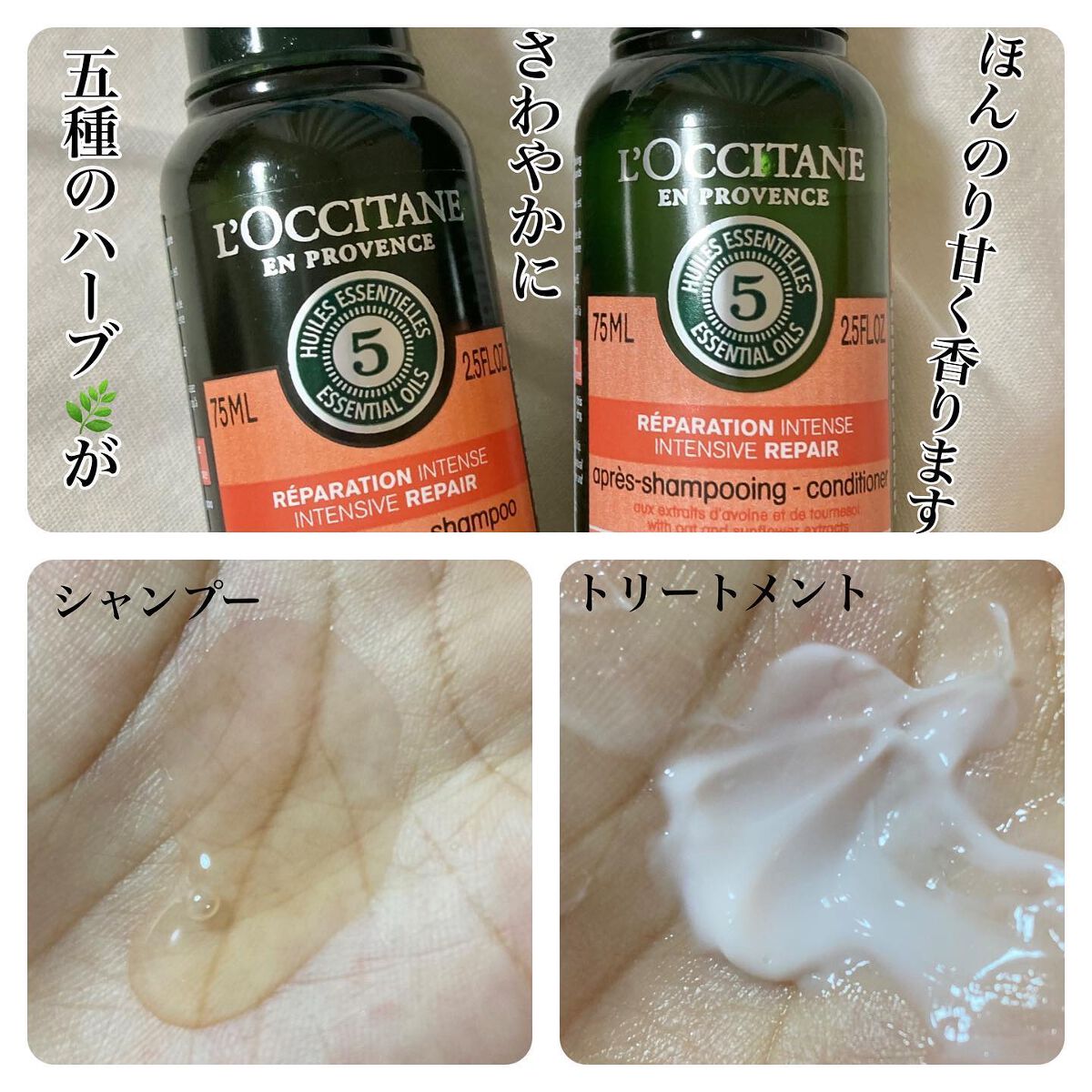 ファイブハーブスリペアリングシャンプー／コンディショナー/L'OCCITANE/シャンプー・コンディショナーを使ったクチコミ（2枚目）