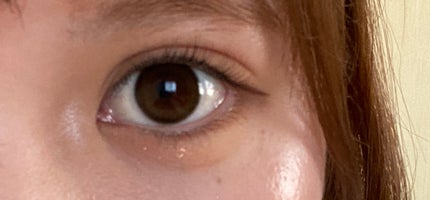 シャドウパレット/dasique/アイシャドウパレットを使ったクチコミ(2枚目)