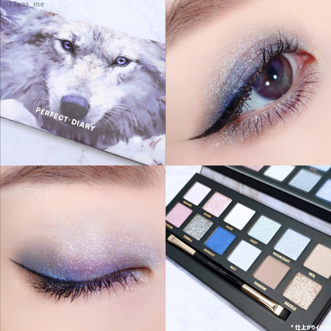 限定アイシャドウパレット】エクスプローラ12色 動物アイシャドウ