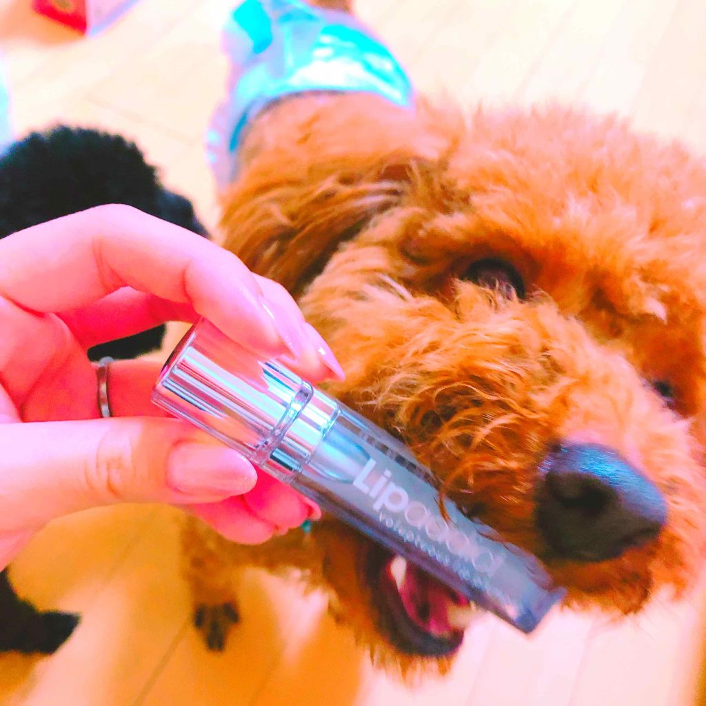 リップアディクト/soaddicted/リップグロスを使ったクチコミ（1枚目）