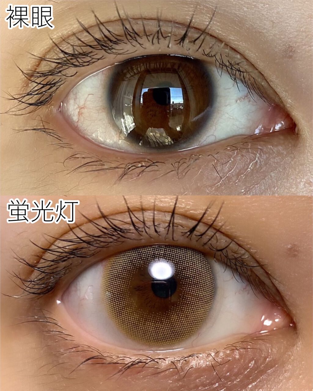 ロシアン 1Day ゴールド/OLENS/ワンデー（１DAY）カラコンを使ったクチコミ（2枚目）