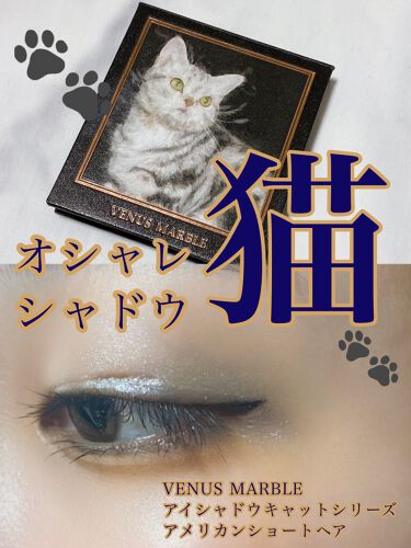 アイシャドウ猫シリーズ Venus Marble ヴィーナスマーブル の口コミ 衝動買いコスメ 白猫で青い目て これで By とーか 混合肌 代前半 Lips