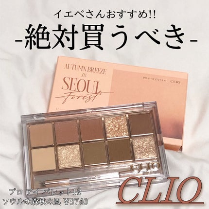 プロ アイ パレット/CLIO/アイシャドウパレットを使ったクチコミ(1枚目)