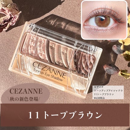 トーンアップアイシャドウ/CEZANNE/アイシャドウパレットを使ったクチコミ(1枚目)