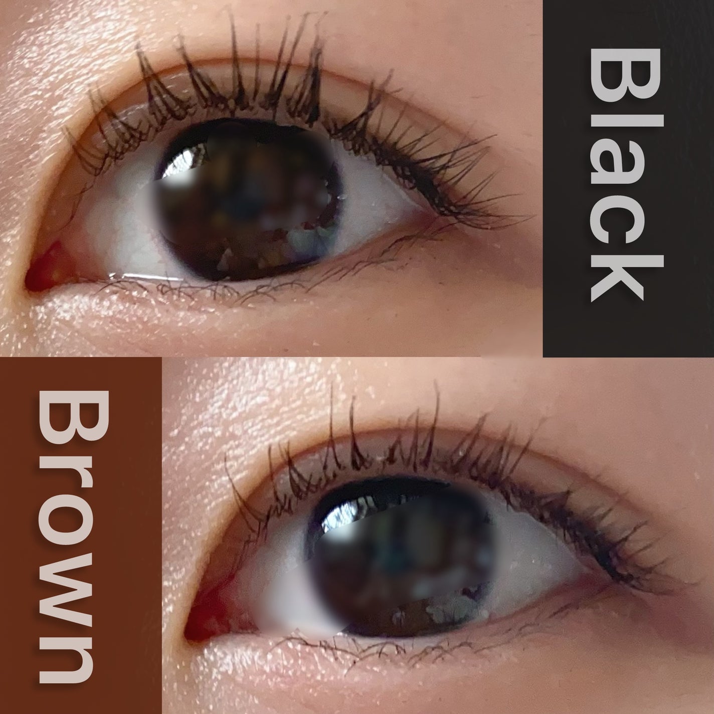 ラッシュニスタ N/MAYBELLINE NEW YORK/マスカラを使ったクチコミ(3枚目)