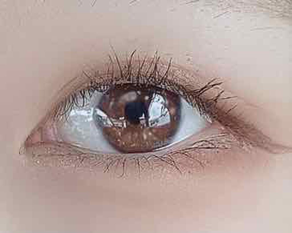 パーフェクトスタイリストアイズ/キャンメイク/アイシャドウパレットを使ったクチコミ(3枚目)