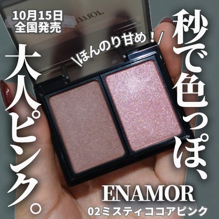 バイカラーアイズ/Enamor/アイシャドウパレットを使ったクチコミ(1枚目)