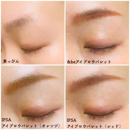 アイブロウ クリエイティブパレット/IPSA/パウダーアイブロウを使ったクチコミ(4枚目)