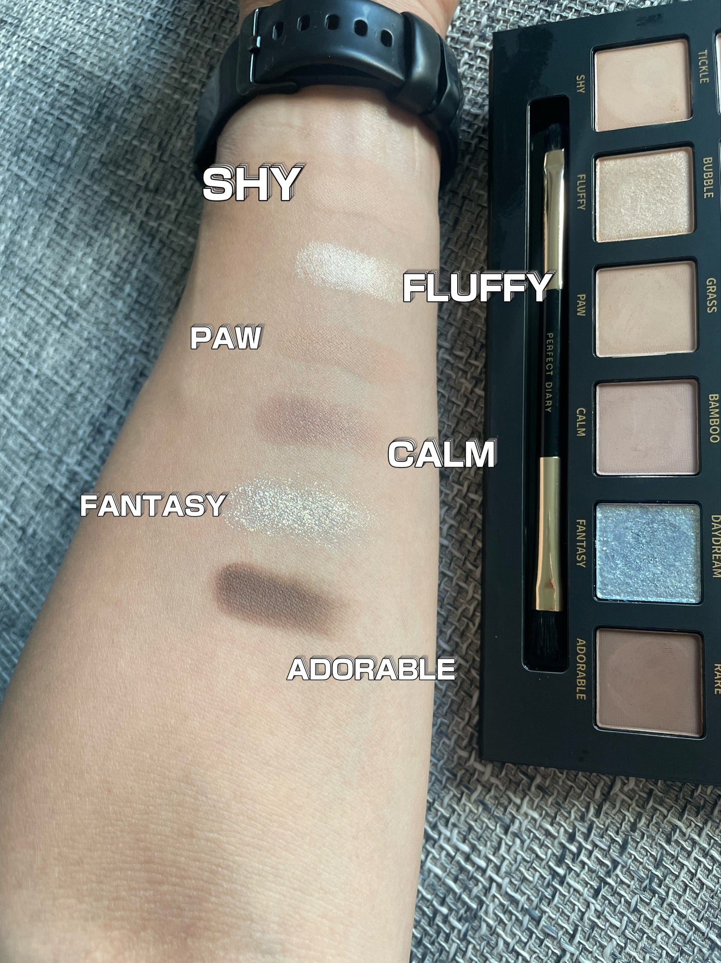 エクスプローラ12色 動物アイシャドウパレット/PERFECT DIARY/アイシャドウパレットを使ったクチコミ(2枚目)