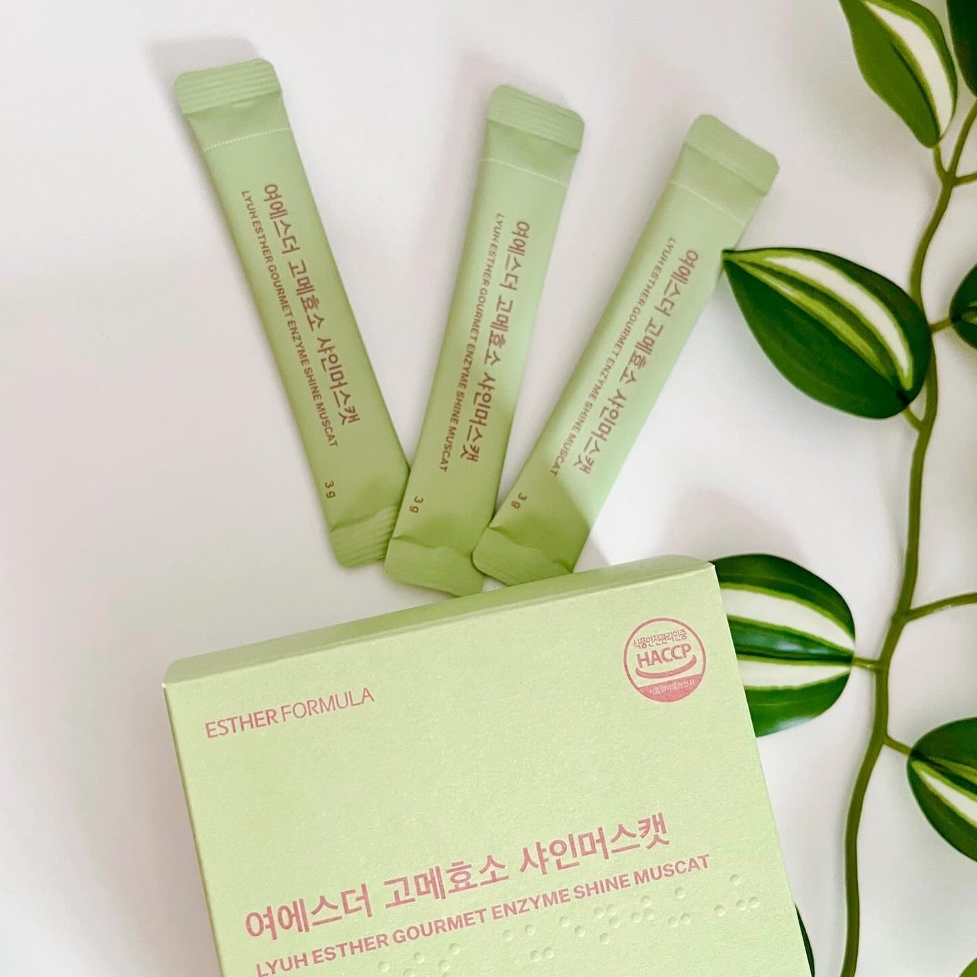 ヨエスターグルメ酵素/ESTHER FORMULA/美容サプリメントを使ったクチコミ(6枚目)