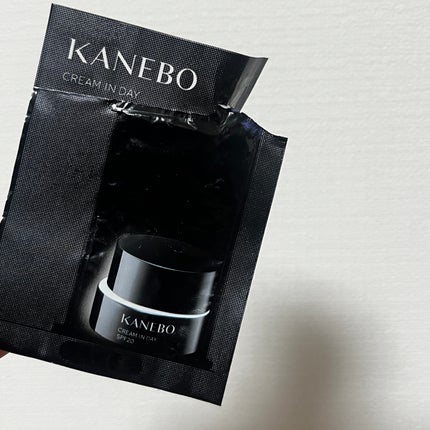 クリーム イン デイ/KANEBO/フェイスクリームを使ったクチコミ(1枚目)