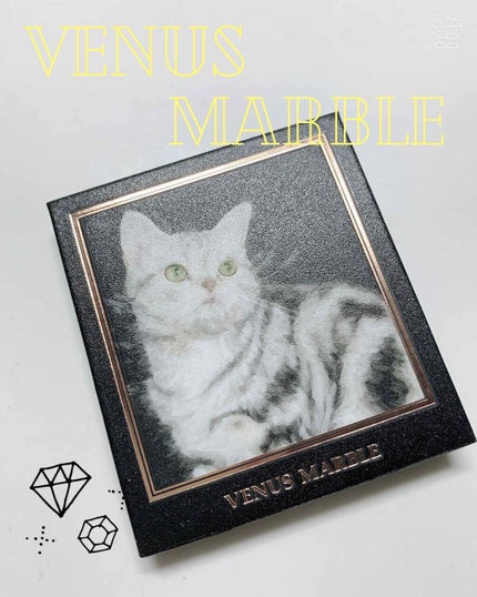 Venus Marble アイシャドウキャットシリーズ/Venus Marble/アイシャドウパレットを使ったクチコミ(1枚目)