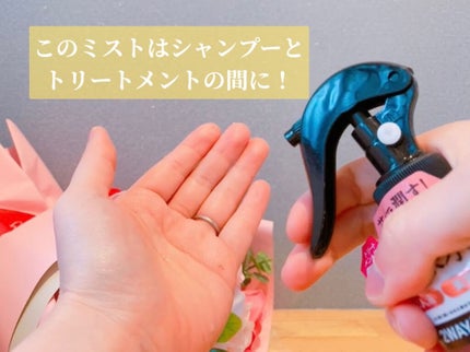 ハイドロ&リペア ジェントル ヘアミスト/AHALO HONEY/プレスタイリング・寝ぐせ直しを使ったクチコミ(4枚目)