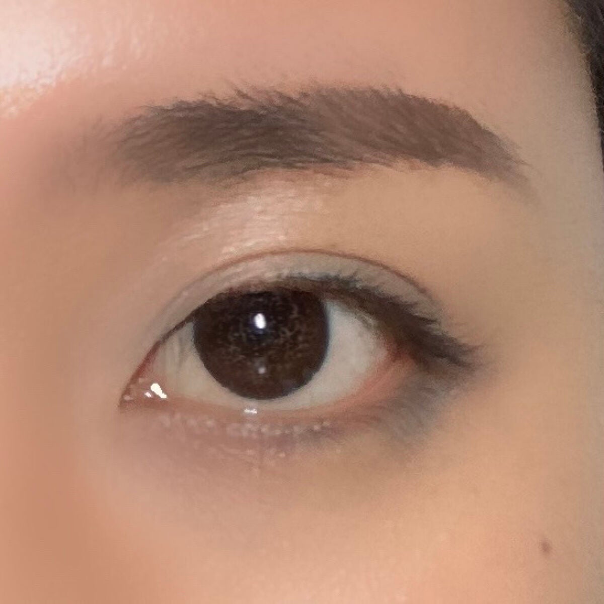 プリズム パウダーアイカラー/リンメル ロンドン/単色アイシャドウを使ったクチコミ(4枚目)