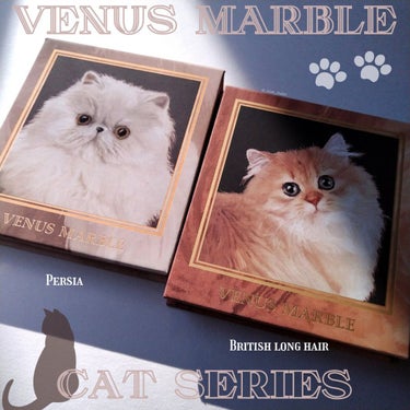 Venus Marble アイシャドウキャットシリーズ/Venus Marble/アイシャドウパレットを使ったクチコミ（1枚目）