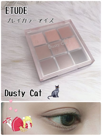 プレイカラーアイズ ダスティキャット/ETUDE/アイシャドウパレットを使ったクチコミ(1枚目)