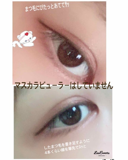 極細 アイライナーR/CEZANNE/リキッドアイライナーを使ったクチコミ(3枚目)