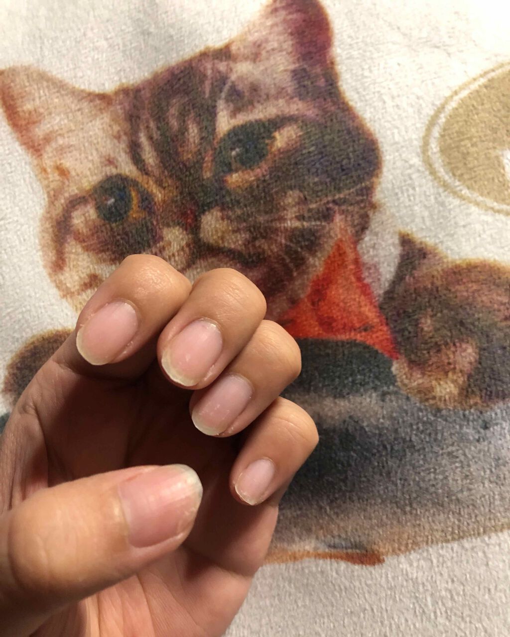 EB ボトルジェルカラー/eternal basic/ジェルネイルを使ったクチコミ（1枚目）