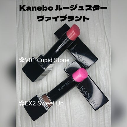 ルージュスターヴァイブラント/KANEBO/口紅を使ったクチコミ(2枚目)
