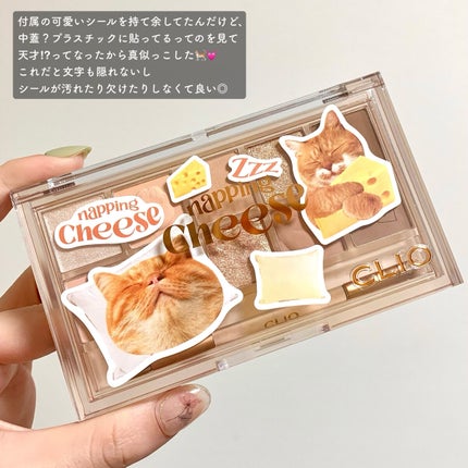 プロ アイ パレット/CLIO/アイシャドウパレットを使ったクチコミ(6枚目)