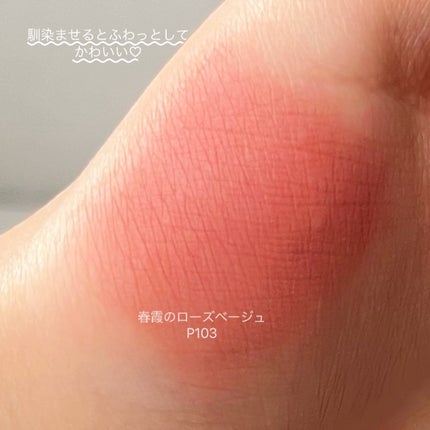 CKムースMリップ(通称:CKムース泥リップ)/COLORKEY/口紅を使ったクチコミ(4枚目)