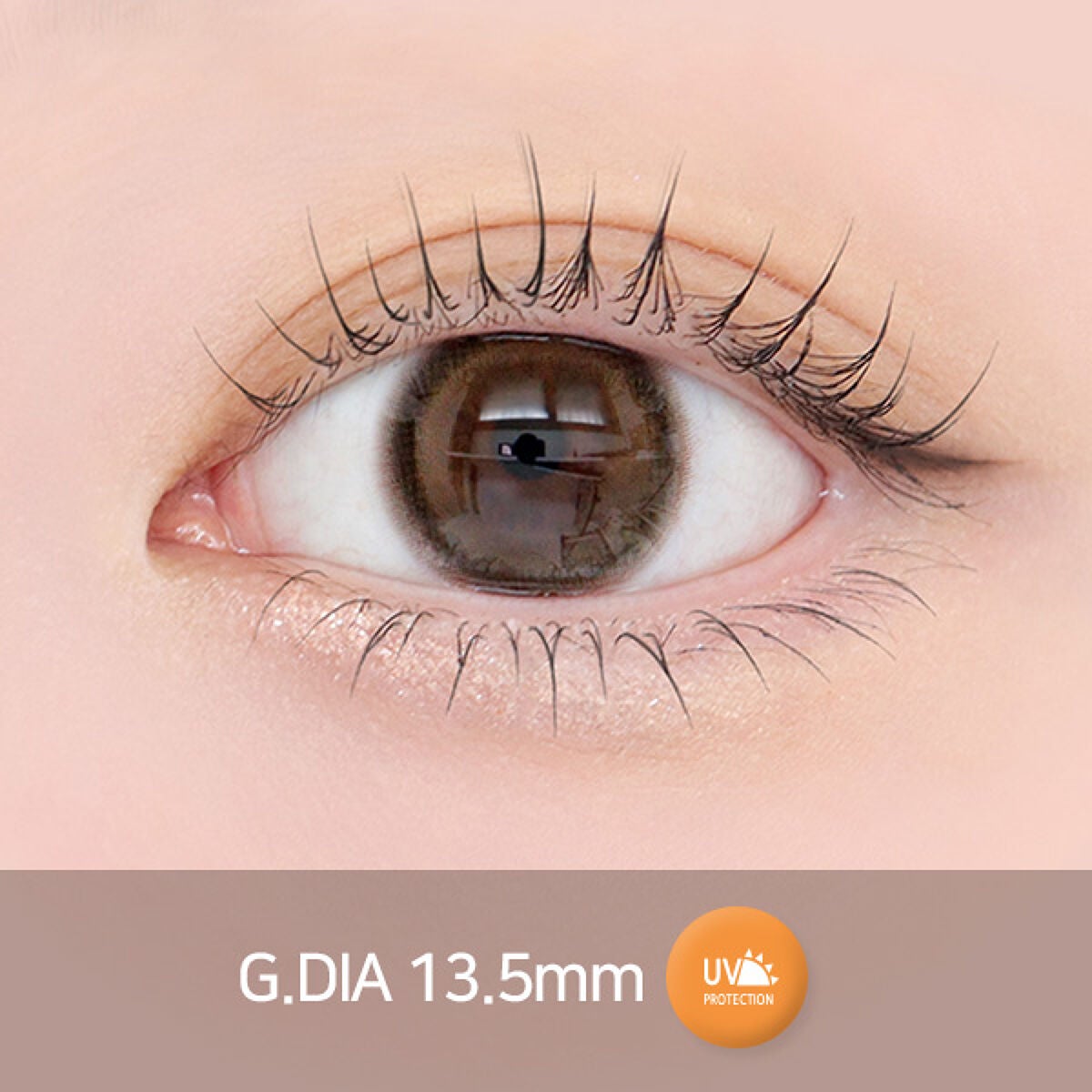 マリナシリーズ	 マリナプラスブラウン