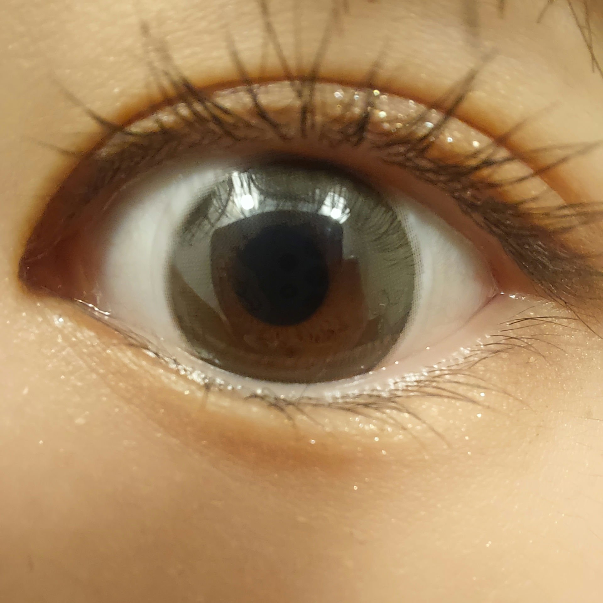 エバーカラーワンデーミリモア/エバーカラー/ワンデー（１DAY）カラコンを使ったクチコミ（3枚目）