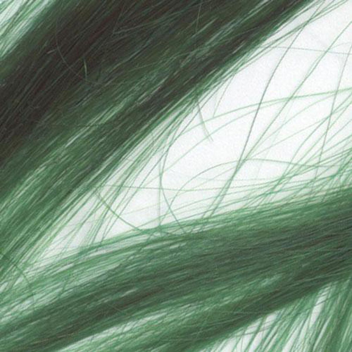 ヘアカラークリーム ヴィーナスエンヴィ Venus Envy