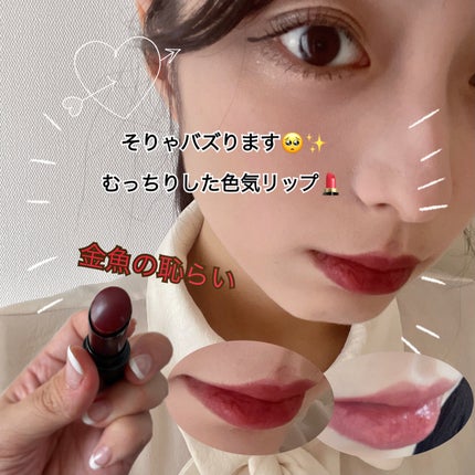 ネンマクフェイク ルージュ/Visée/口紅を使ったクチコミ(1枚目)