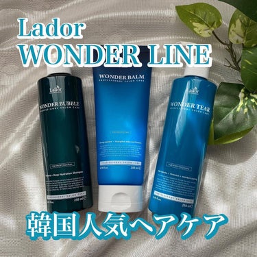 WONDER BALM/La'dor/洗い流すヘアトリートメントを使ったクチコミ（1枚目）