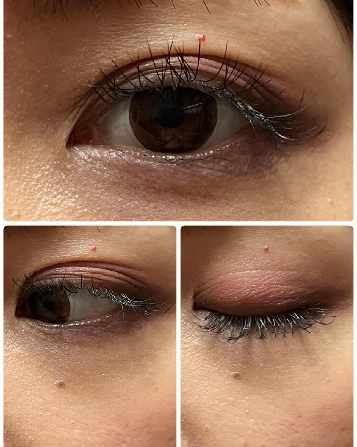 ブラッシュ カラー インフュージョン/ローラ メルシエ/パウダーチークを使ったクチコミ(3枚目)