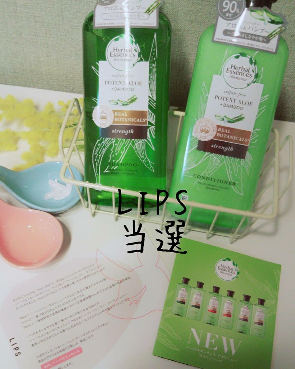 ビオリニュー アロエ&バンブー シャンプー/コンディショナー/ハーバルエッセンス/市販シャンプーを使ったクチコミ(1枚目)