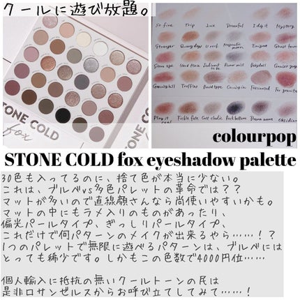 ストーンコールドフォックスシャドウパレット/ColourPop/アイシャドウパレットを使ったクチコミ(6枚目)