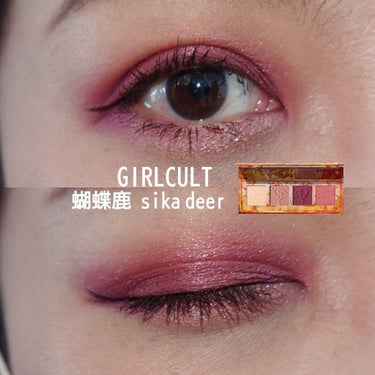 山海シリーズ 4色アイシャドウパレット 06 蝴蝶鹿 sika deer/GirlCult/アイシャドウパレットを使ったクチコミ（1枚目）