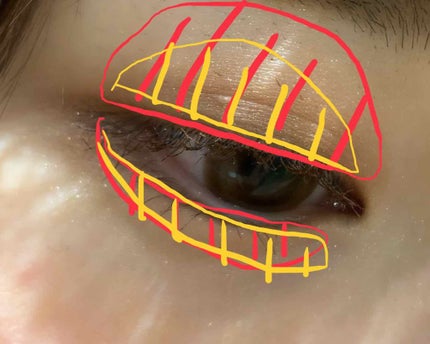 スキニーリッチシャドウ/excel/アイシャドウパレットを使ったクチコミ(3枚目)