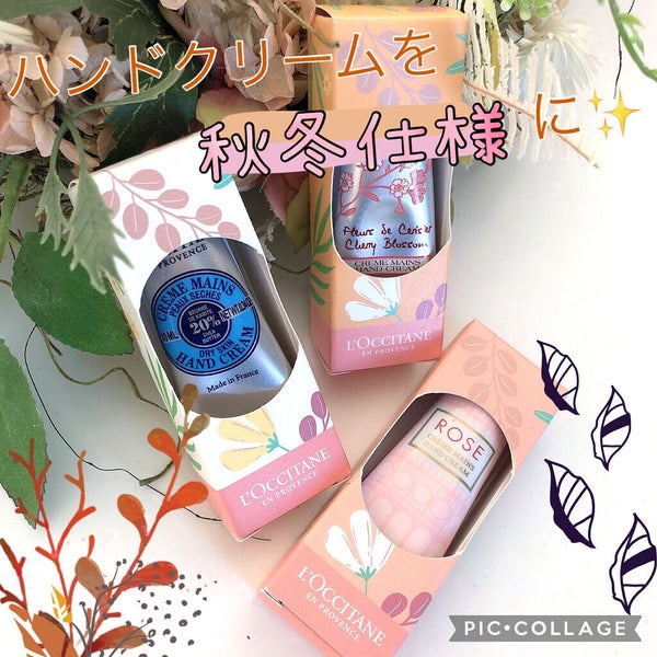 シア ハンドクリーム/L'OCCITANE/ハンドクリーム by babel🍂