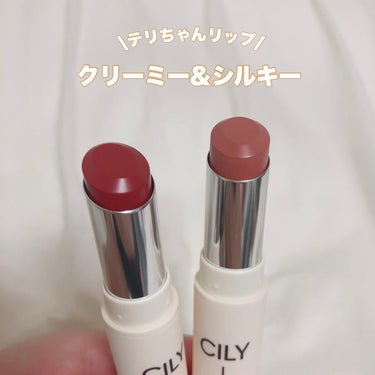 シルキーリップ #NOIR NUDE/CILY/口紅を使ったクチコミ（1枚目）