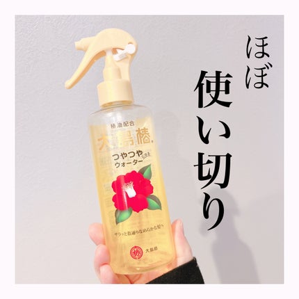 ヘアウォーター/大島椿/プレスタイリング・寝ぐせ直しを使ったクチコミ(1枚目)