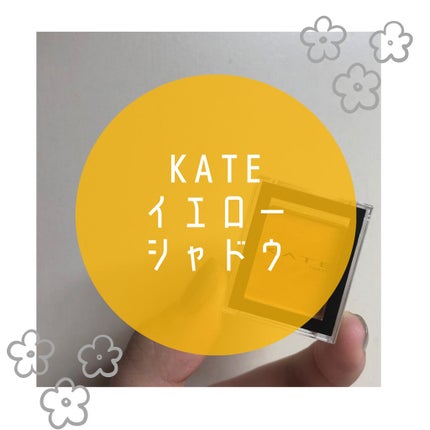ケイト ザ アイカラー/KATE/単色アイシャドウを使ったクチコミ(1枚目)