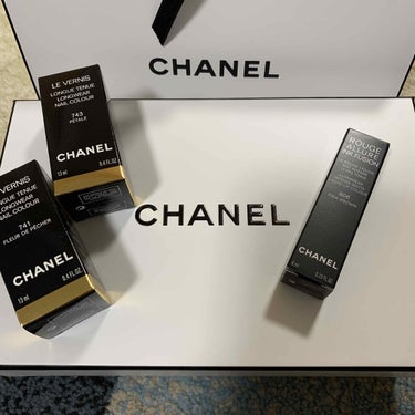 ヴェルニ ロング トゥニュ 743 ペタル/CHANEL/マニキュアを使ったクチコミ（2枚目）