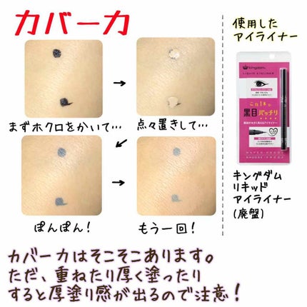 カバーパーフェクション チップコンシーラー/the SAEM/リキッドコンシーラーを使ったクチコミ(3枚目)