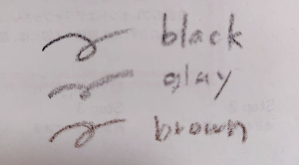 眉墨鉛筆/SHISEIDO/アイブロウペンシルを使ったクチコミ(2枚目)