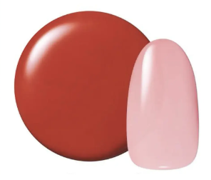 カラージェル ヴェールシリーズ #249 コッパーヴェール