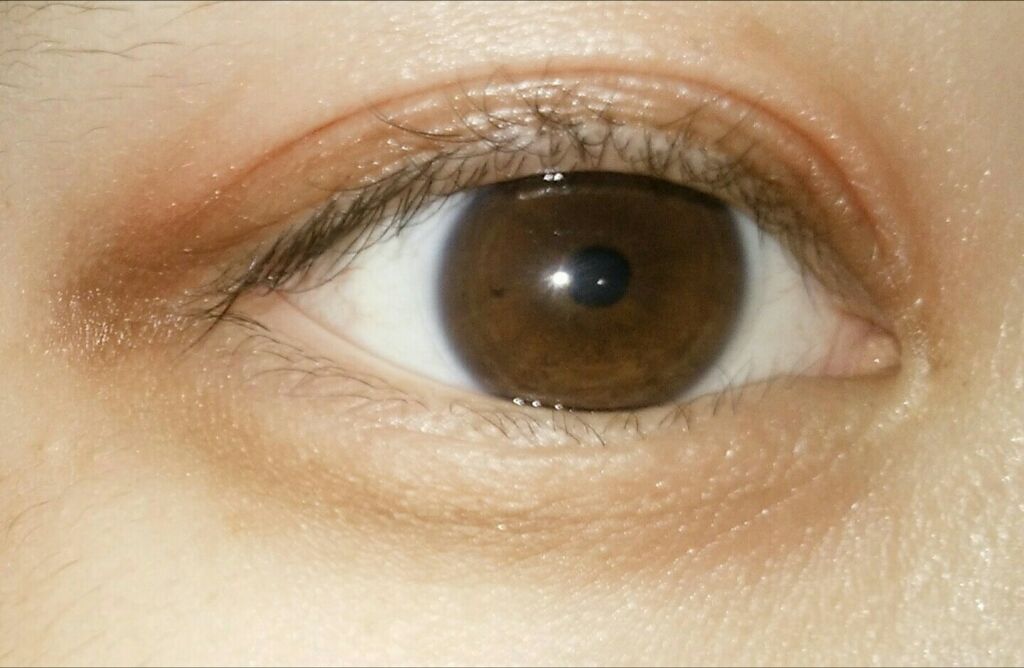 パーフェクトマルチアイズ/キャンメイク/アイシャドウパレットを使ったクチコミ(1枚目)