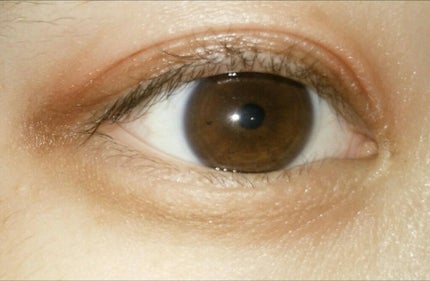 パーフェクトマルチアイズ/キャンメイク/アイシャドウパレットを使ったクチコミ(1枚目)