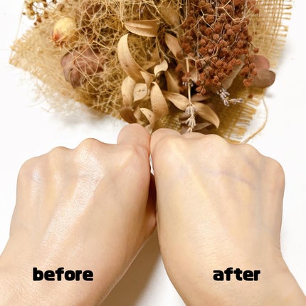 プロテクティング ファンデーション プライマー 01 ドラジェ/PAUL & JOE BEAUTE/化粧下地の画像