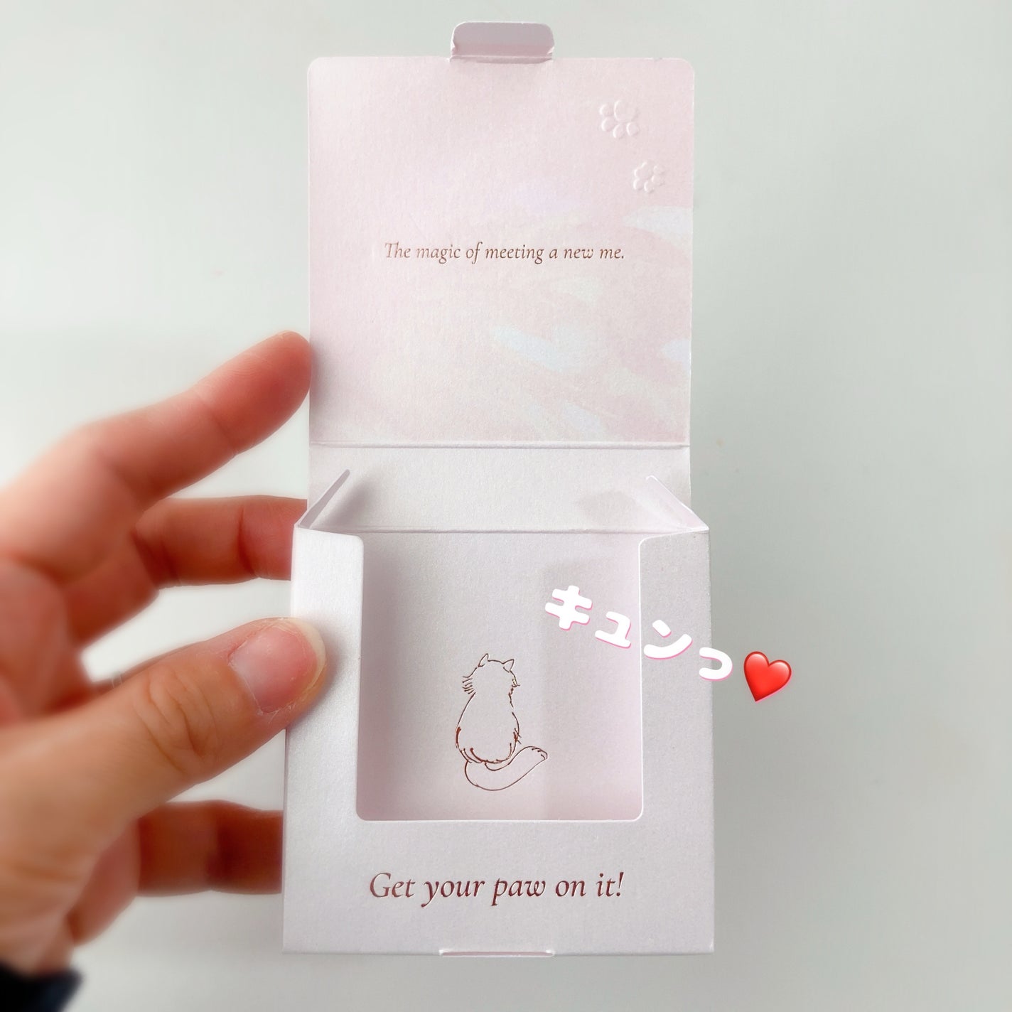 ミャオパウズアイシャドウパレット/MilleFée/アイシャドウパレットを使ったクチコミ(3枚目)