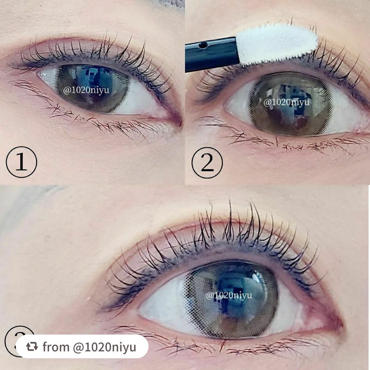 スカルプD ボーテ ピュアフリーアイラッシュセラム プレミアム/アンファー(スカルプD)/まつげ美容液を使ったクチコミ(3枚目)