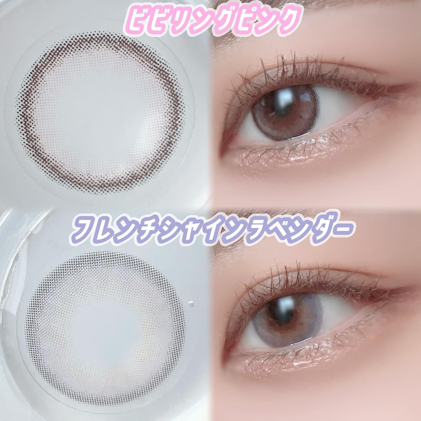 FrenchShine1day/OLENS/ワンデー（１DAY）カラコンを使ったクチコミ（2枚目）