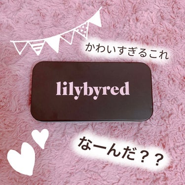 MINI KIT HOUSE TINT VER/lilybyred/口紅を使ったクチコミ（1枚目）